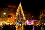 florence christmas tree